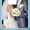 Продаю свадебное,вечернее платье - Изображение #1, Объявление #61395
