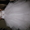 свадебное платье оригинальное - Изображение #1, Объявление #74075