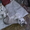 продаю щенков аляскинский маламут - Изображение #3, Объявление #224622