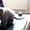 шотландские вислоухие котята!!!Скотиш фолд!! #284018