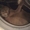 Британские котята + редкий окрас - Изображение #5, Объявление #489109