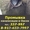 Прочистка и устранение засоров труб канализации в Омске - Изображение #1, Объявление #661269