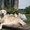 Шикарные щенки голден (золотистого)ретривера, питомник Solar SWind - Изображение #2, Объявление #701517
