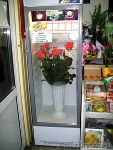 Холодильная витрина Бирюса 310ЕР - Изображение #1, Объявление #457088