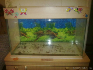 продам аквариум!!!!!!! - Изображение #1, Объявление #550056