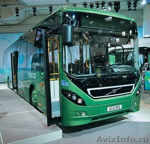 Автобусы и микроавтобусы из США - Изображение #4, Объявление #956436