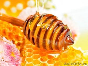 Алтайский мед оптом с пасеки. - Изображение #1, Объявление #996312