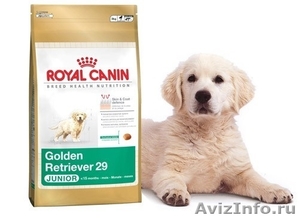 Корма Royal canin и Pro plan с доставкой на дом - Изображение #1, Объявление #1157943