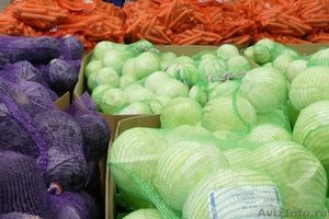 Сетка-мешок для овощей оптом в Омске - Изображение #1, Объявление #1632289